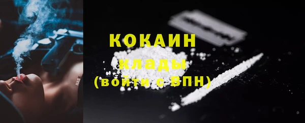 бошки Аркадак