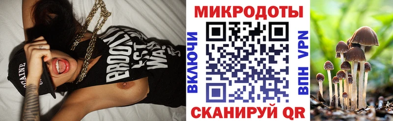 Галлюциногенные грибы GOLDEN TEACHER  купить  цена  Сясьстрой 